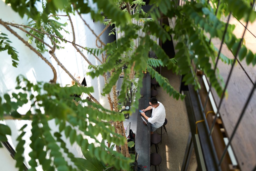 The Garden from above
